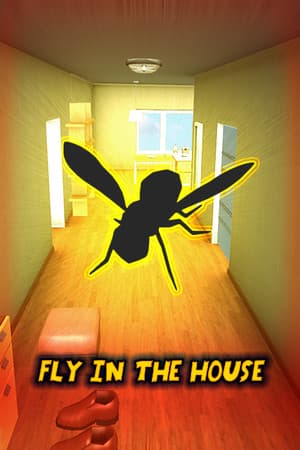 Fly in the House