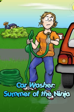 Car Washer: Summer of the Ninja
